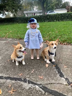 Jalayne Sutherland, 2, from Florence, Kentucky, dressed up as Queen Elizabeth II for Halloween this year with corgis Jack and Rascal. Windsor Castle wrote her a letter in response thanking her for the costume.