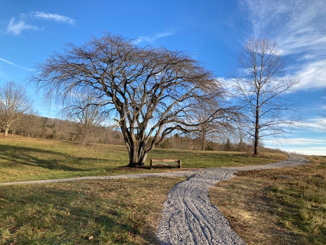 A Biltmore Estate visitor wonders why the estate changed over this previously dirt path to gravel.