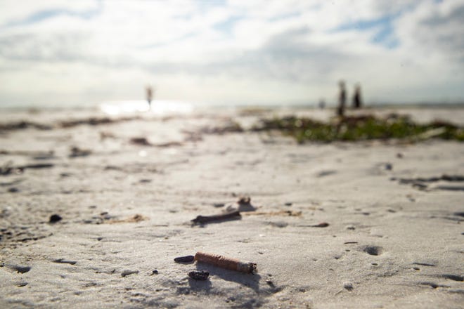 Cigarette butts are seen on Fort Myers Beach on Tuesday, Jan. 4, 2022. Sarasota Sen. Joe Guters is pushing a bill that would ban smoking at public beaches and areas within the boundaries of state parks.