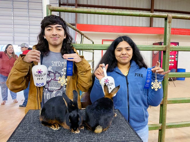 Miguel Gomez, left, and Ziayra Rendon, right, and their Tan rabbits walked away with awards at the Denison Winter Classic Dec. 18. Gomez won Best of Breed and 2nd Reserve in Show, and Rendon won Best Opposite Sex in Breed.