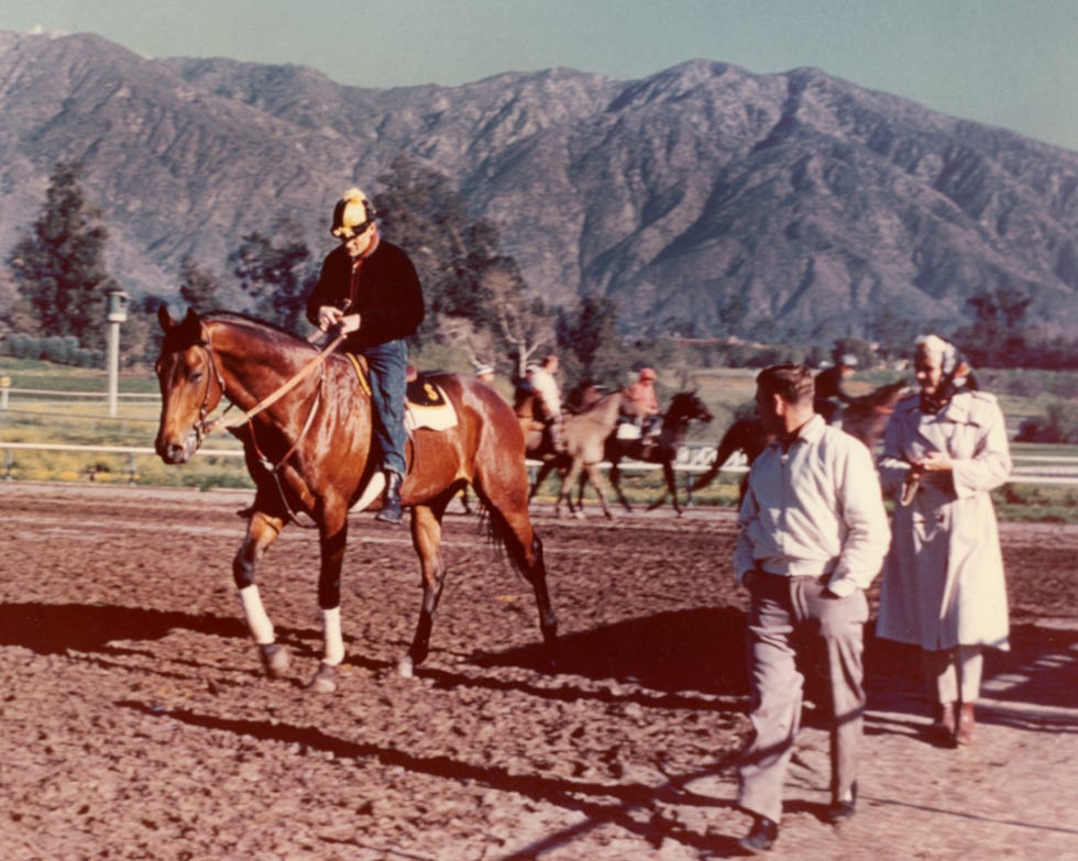 Trainer Martin L. "June" Fallon, right, watches as Hillsdale comes onto the track at Santa Anita Park for a morning workout. Photo courtesy of the Fallon family. 1959