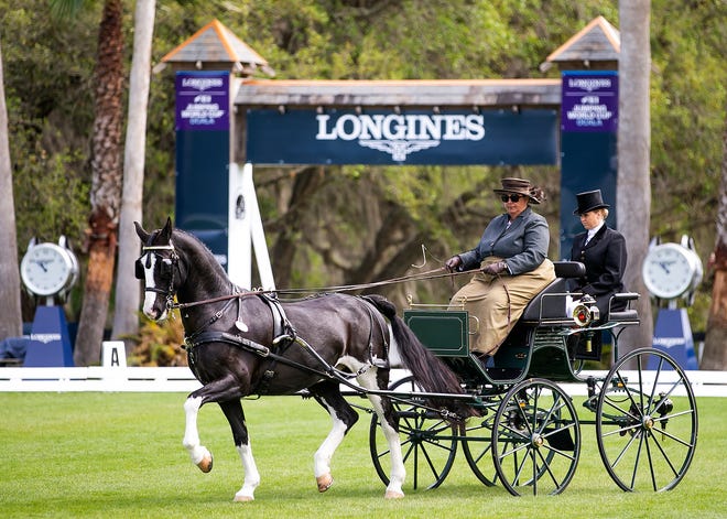 Driver Ellen Epstein of Ocala, FL., drives her Tiugpaard horse, Uncle Leo, in the Dressage Driving competition Friday morning, March 6, 2020 during the 30th Annual Live Oak International. After a year off due to the coronavirus pandemic in 2021, the event is returning March 3-6, 2022.