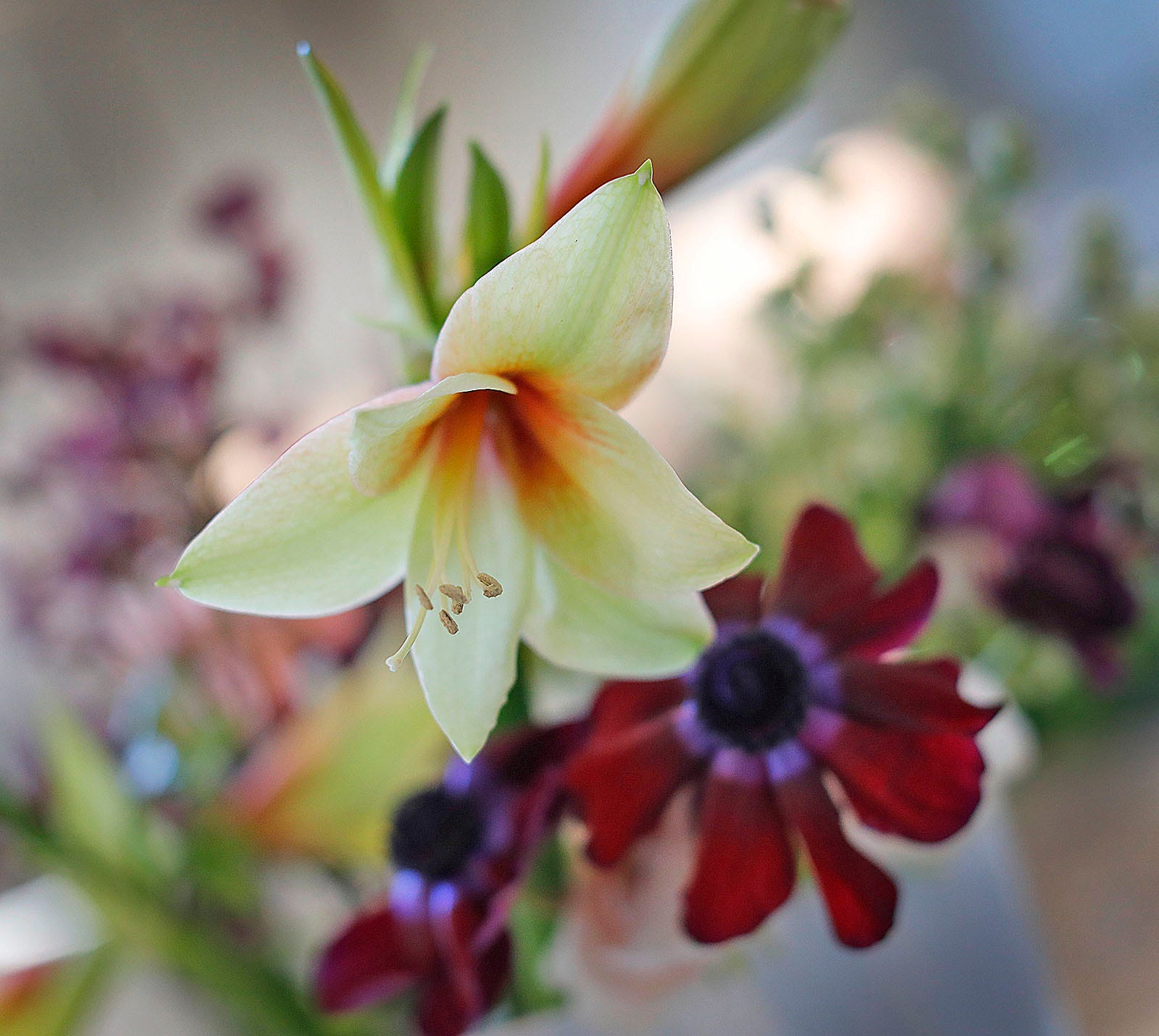 La pequeña empresa de Milton de Jenn Goonan, Cheers to Flowers, dona un ramo a un centro para personas mayores por cada ramo vendido.