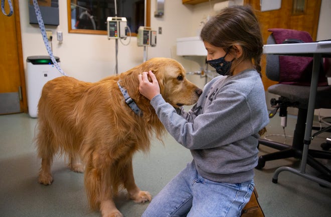 Oregon's 2022 Kid Governor Emerie Martin visits with Shiloh the dog during a visit to the veterinary clinic in Springfield where her grandmother works. Martin plans to use her platform to promote animal welfare in the state.
