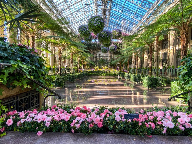 A beautiful display of flowers decorate the Exhibition Hall at Longwood Gardens in Kennett Square, Pennsylvania.