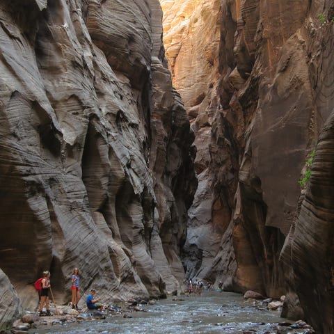 Visitors explore The Narrows at Zion National Park
