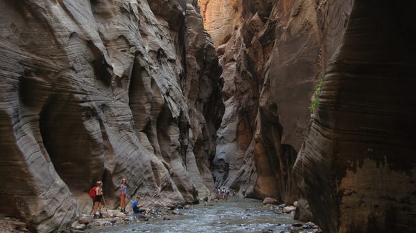 Visitors explore The Narrows at Zion National Park