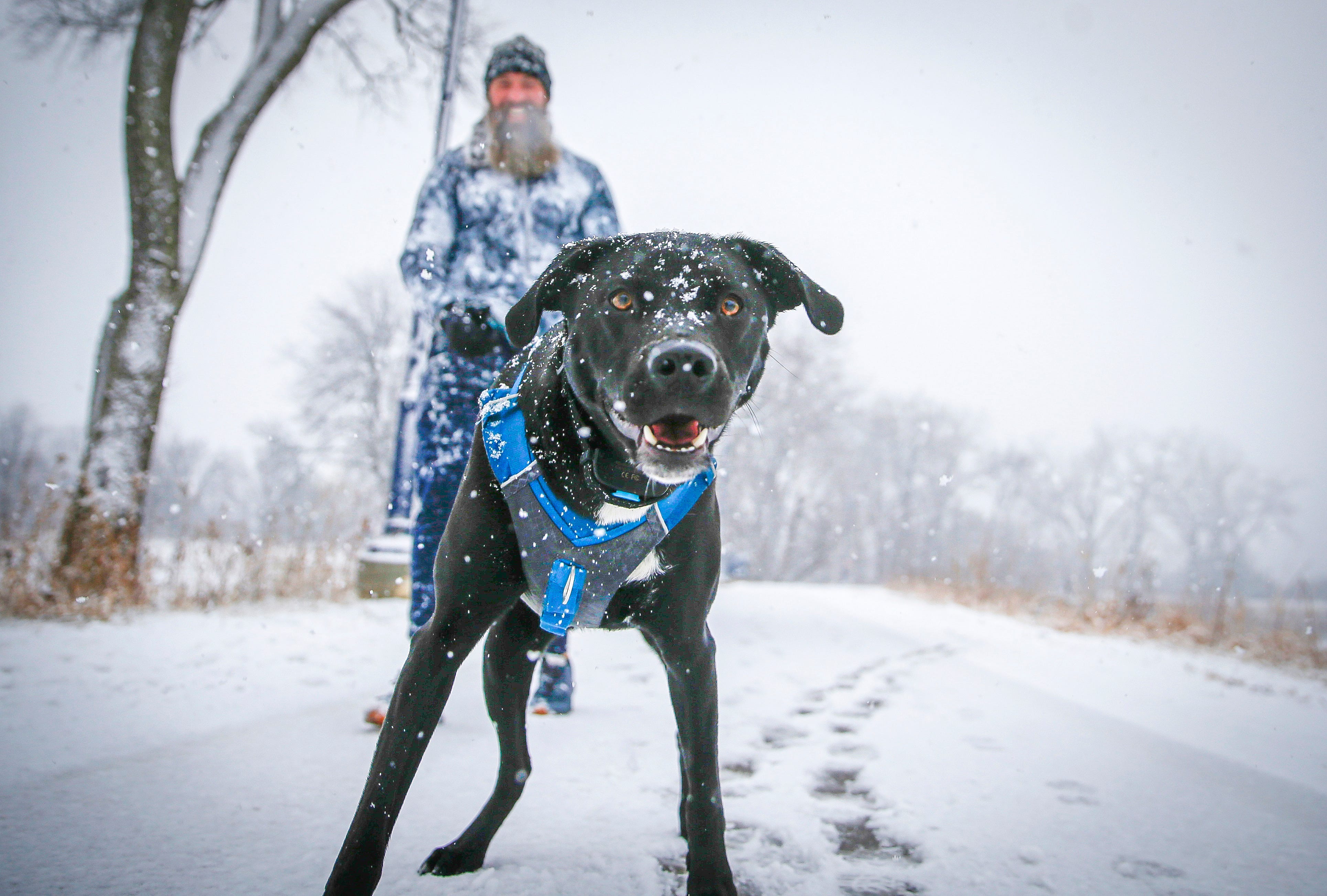 Des Moines Snowfall Totals Today 93 - h4wg2pq