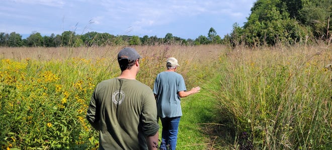 Jake Gamble, the Red-tail Land Conservancy's stewardship coordinator, tours Steussy-Williams Conservation Easement with landowner Helen Steussy. The former alfalfa field has been restored to prairie and forest.