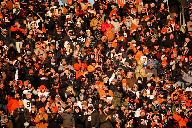 Cincinnati Bengals fans cheer on the team in the first quarter during an NFL AFC wild-card playoff game against the Las Vegas Raiders, Saturday, Jan. 15, 2022, at Paul Brown Stadium in Cincinnati.