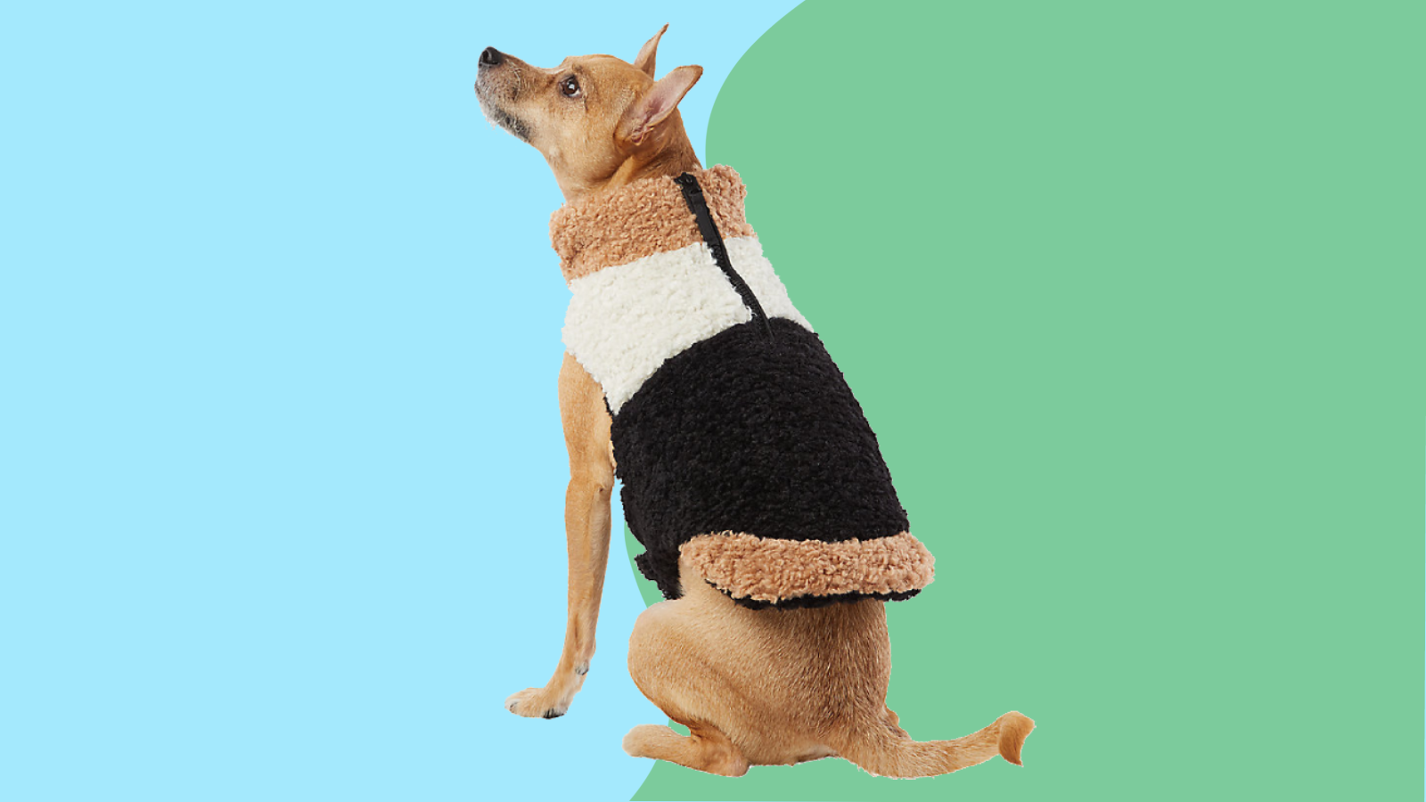 12 warm dog coats for winter 2022: Carhartt, Pendleton, puffer coats and more 12 warm dog coats for winter 2022: Carhartt, Pendleton, puffer coats and more