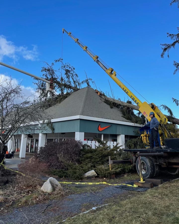 Voorstad Product middelen 90-foot tree falls onto Nike store at Kittery Outlets during storm