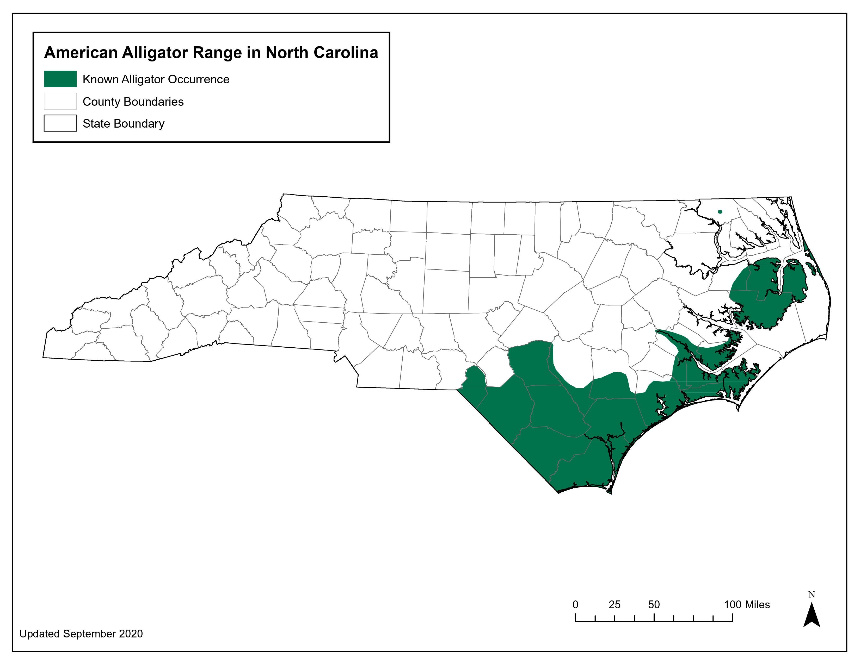 interior fusión El hotel american alligator range map adjetivo 