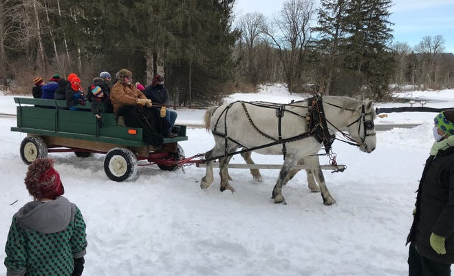 Horse-drawn wagon rides by Lamplit Farm were a big part of the fun Jan. 22 at the Winter Living Celebration at Rogers Environmental Education Center in Sherburne.