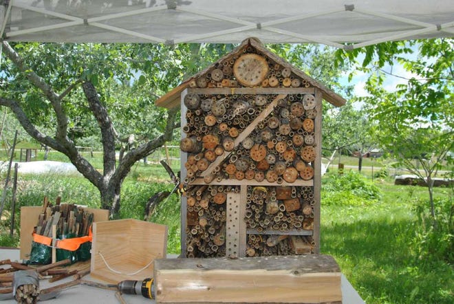 Bee Lodges deliver pollinators a area to prosper Bee Lodges deliver pollinators a area to prosper