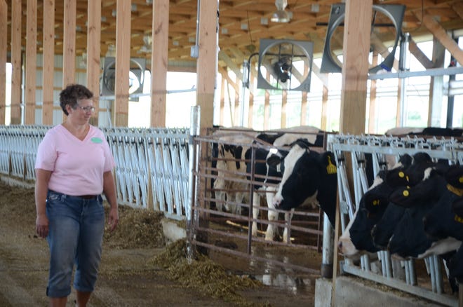 Iowa State University Extension and Outreach will host Boots in the Barn, a program for women dairy producers.