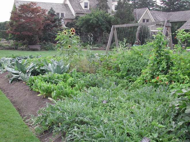 Not overworking the garden soil can be an important key to success.