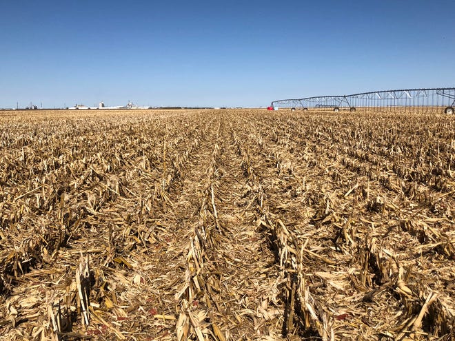 Corn residue in conservation tillage corn-cotton system provides the same benefit regarding soil evaporation in the northern High Plains.
