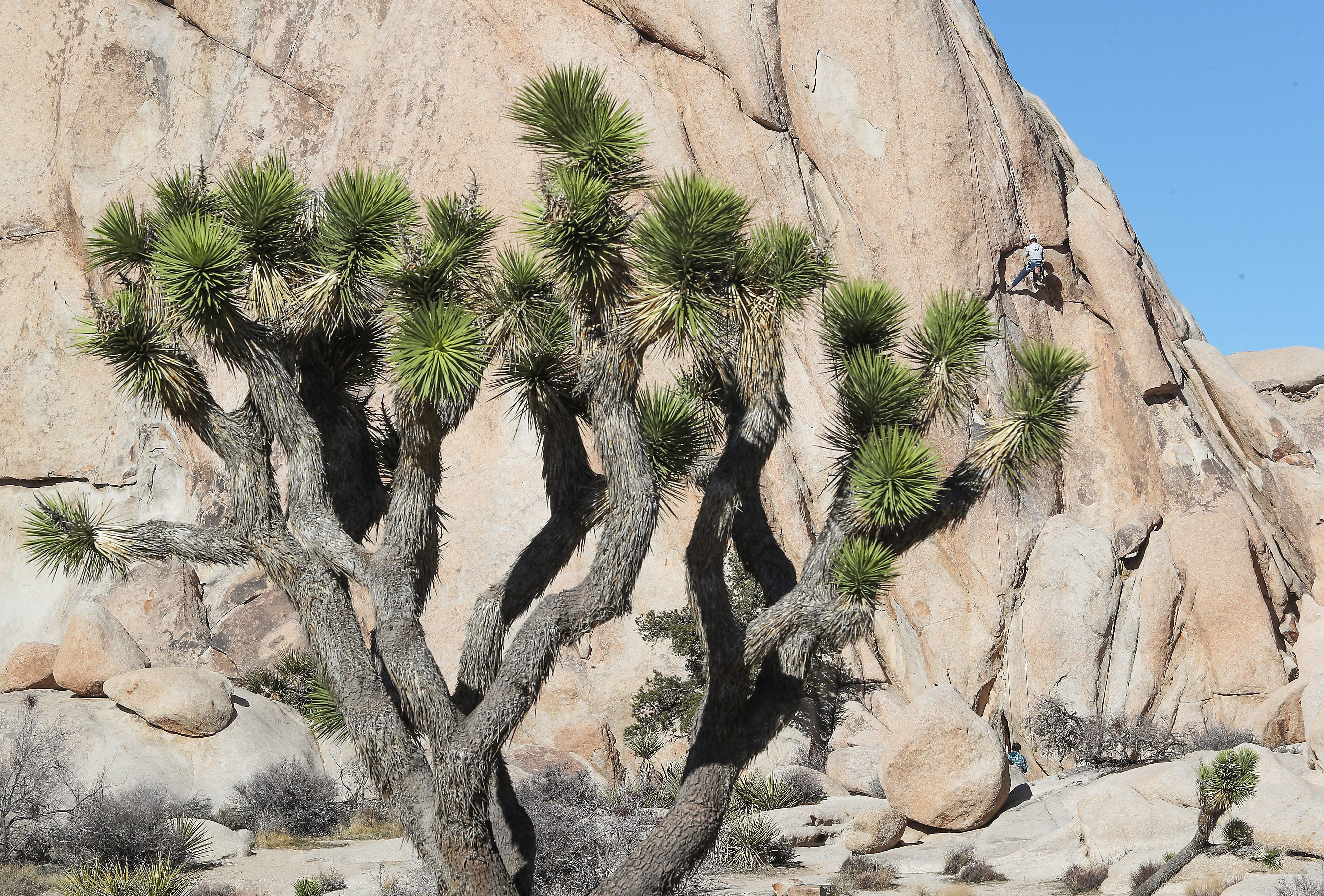 Heading to Joshua Tree National Park? Get ready to pay more