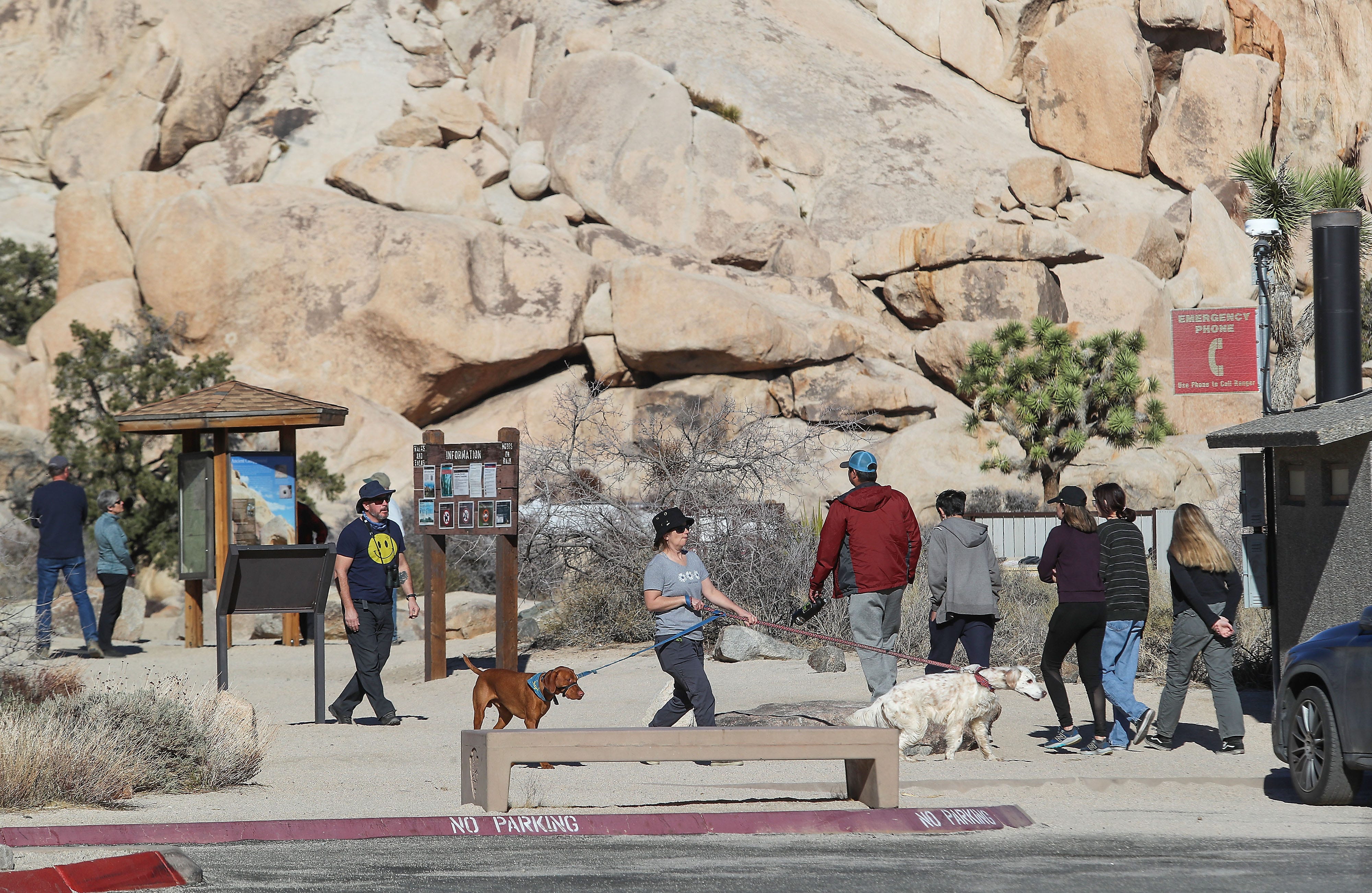 Visitors look around and use the facilities Jan. 24, 2022, at the Intersection Rock parking lot in Joshua Tree National Park. A large project on the drawing boards is building a new west entrance half a mile inside the park, and erecting four kiosks for visitors to buy entrance passes.