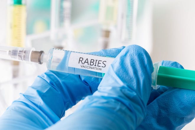 An incident where a Thomasville man was bitten by a fox on Jan. 23 is the first confirmed case of rabies in Davidson County for 2022.
