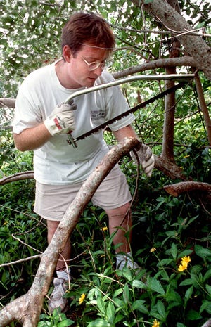 February is an ideal time to prune many woody plants.