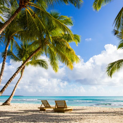 Beautiful caribbean beach on Saona island, Dominic