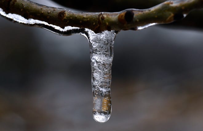 Ice hangs from a south Abilene tree limb as freezing rain developed Wednesday.