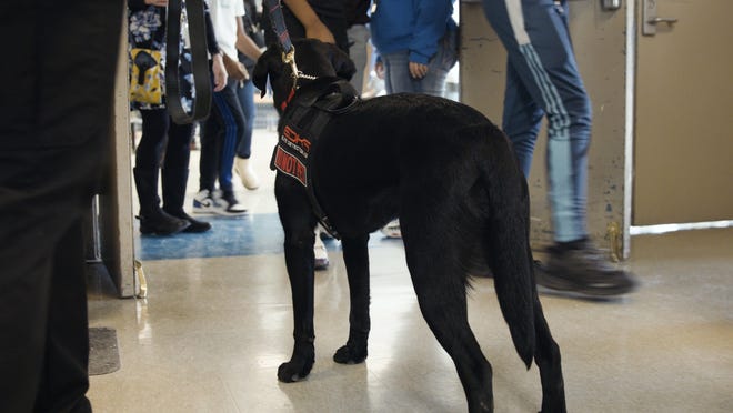 EDK9's Biggie, in the halls at Oak Park Preparatory Academy, the district's middle school.
