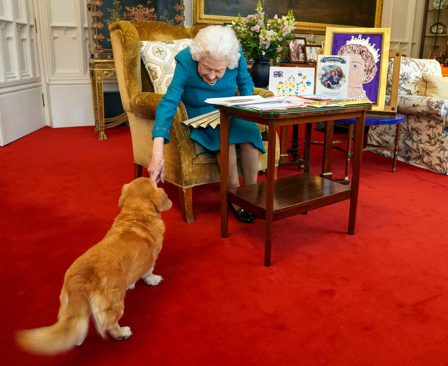 Britain's Queen Elizabeth II, joined by one of her dogs, looks at a display of memorabilia from her Golden and Platinum Jubilees in the Oak Room at Windsor Castle, Windsor, England, Friday Feb. 4, 2022. 