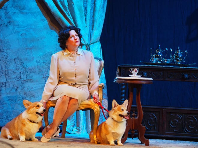 Carol Laing Stearns, of Weymouth, and Corgis Gregory and Laci, of Marshfield, are shown in a scene from Peter Morgan's "The Audience," being presented at Norwell's Company Theatre from Feb. 11-20.