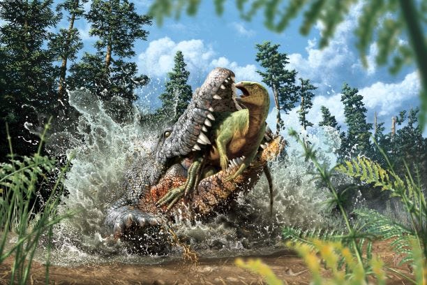 Một con cá sấu với một con khủng long trong bụng được tìm thấy ở Úc