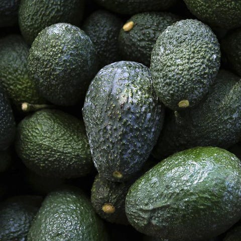 Recently harvested avocados at an orchard near Zir
