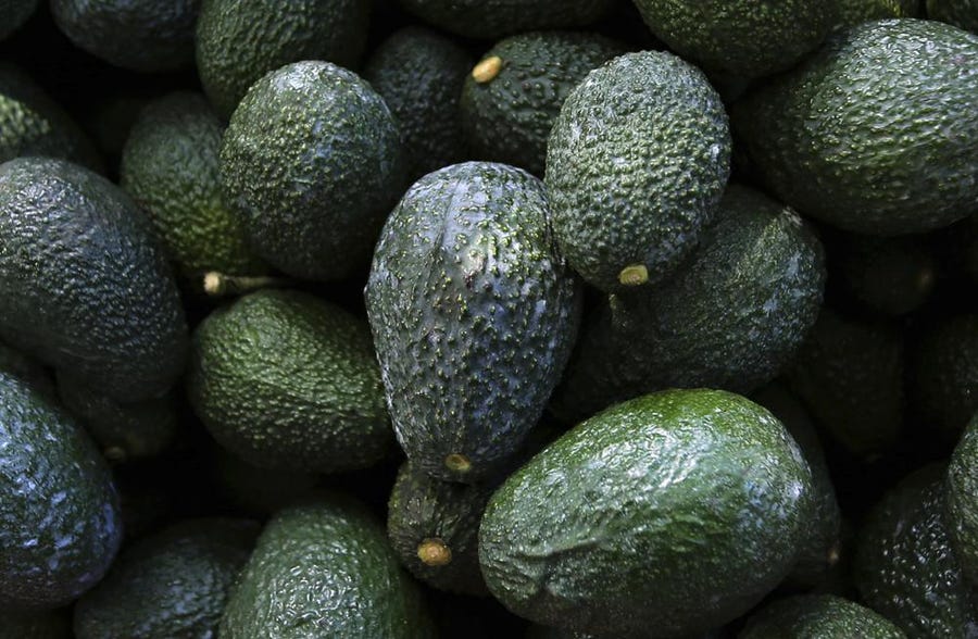 Recently harvested avocados at an orchard near Ziracuaretiro, Michoacan state, Mexico, Oct. 1, 2019. Mexico has acknowledged late Saturday, Feb. 13, 20222, that the U.S. government has suspended all imports of Mexican avocados after a U.S. plant safety inspector in Mexico received a threat.