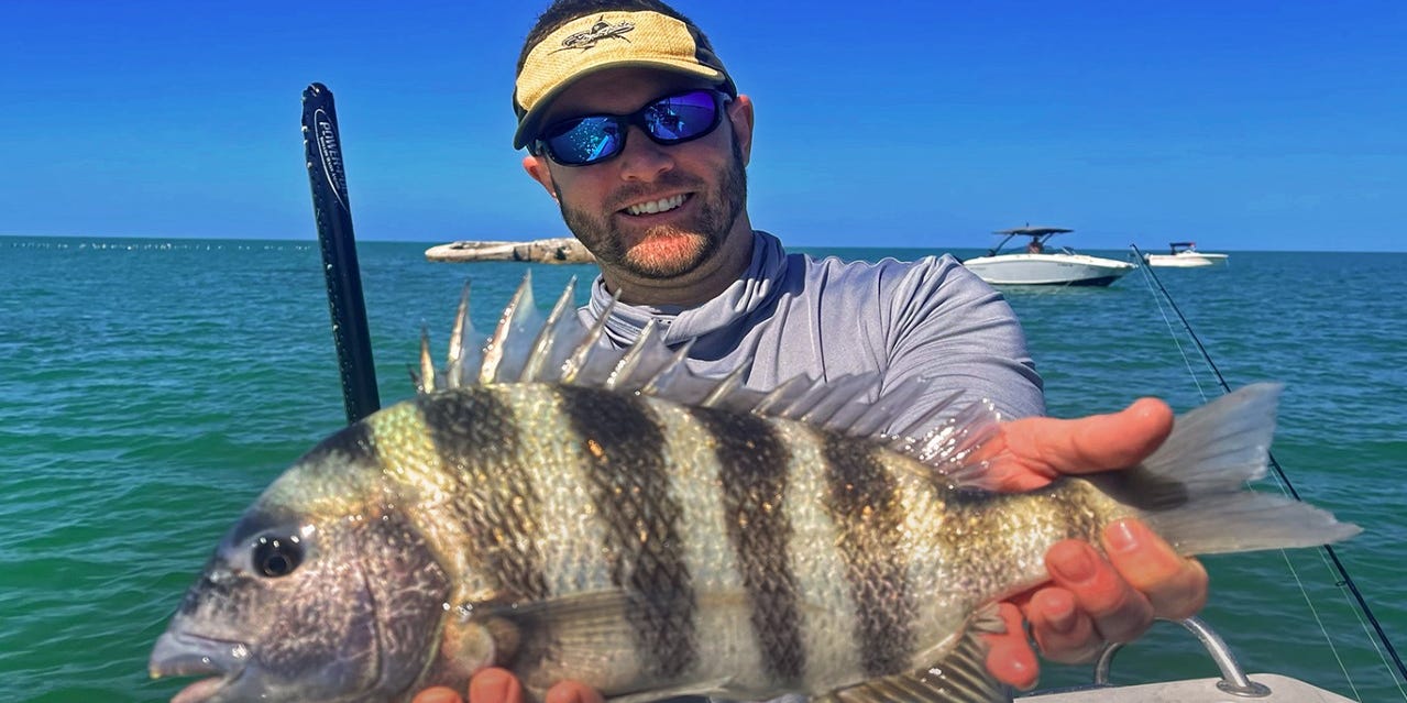 Saltwater report: Sheepshead bite remains strong in Tampa Bay Saltwater report: Sheepshead bite remains strong in Tampa Bay