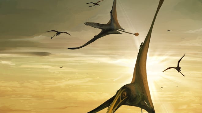 Une nouvelle étude controversée indique que le T. rex était en fait trois espèces Une nouvelle étude controversée indique que le T. rex était en fait trois espèces