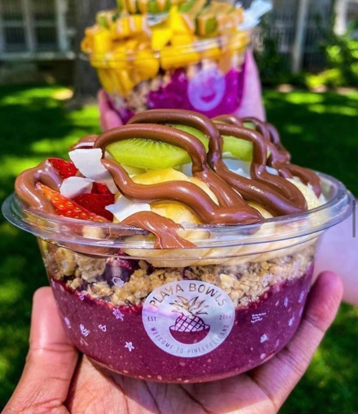 Playa Bowls set to bring smoothies, fruit bowls to East Lansing