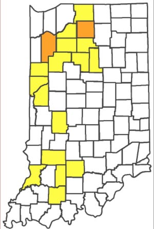This map shows which of Indiana's 92 counties are under travel restrictions as of 9:50 p.m. Wednesday.