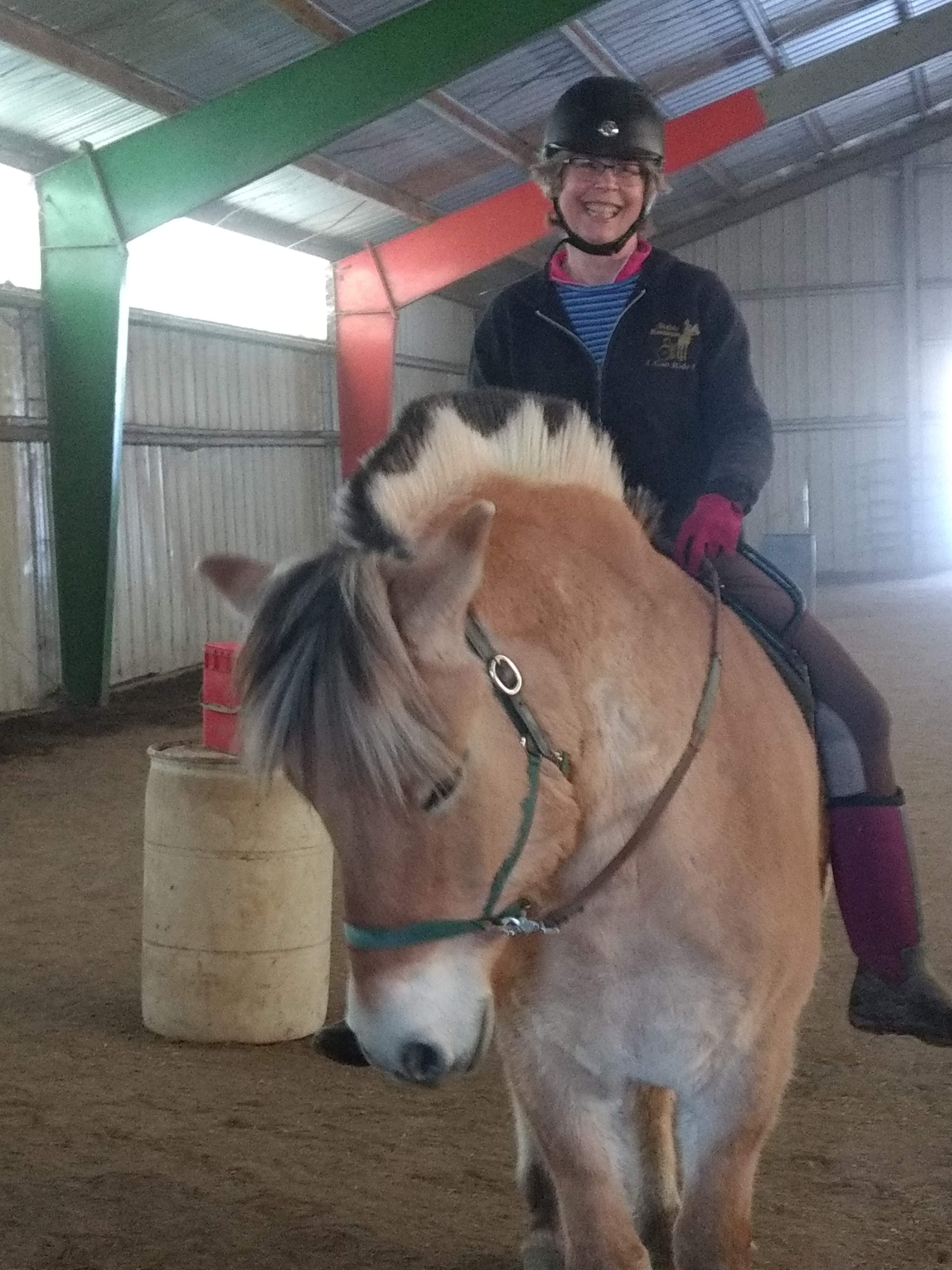 Horses at Stable Movements in Binghamton help people with disabilities