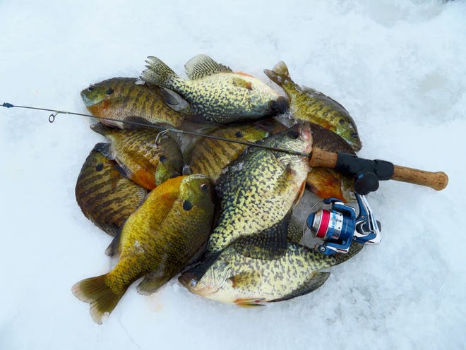 Although gamefish season closed Feb. 27, panfish season remains open year-round.
