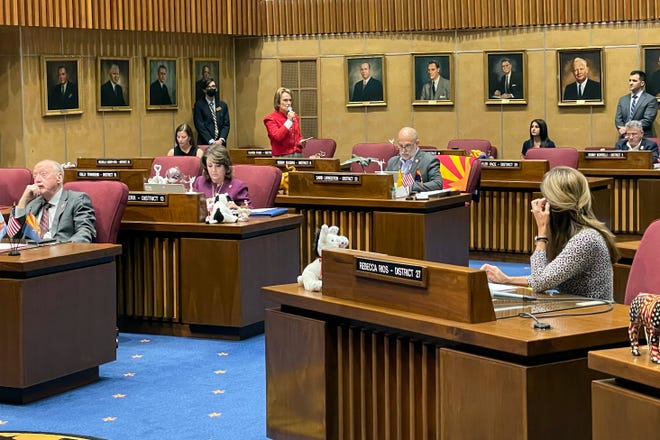 Arizona Republican Sen. Wendy Rogers (standing in the background) defends her inflammatory comments ahead of a censure vote in the Senate on March 1, 2022, at the state Capitol in Phoenix.