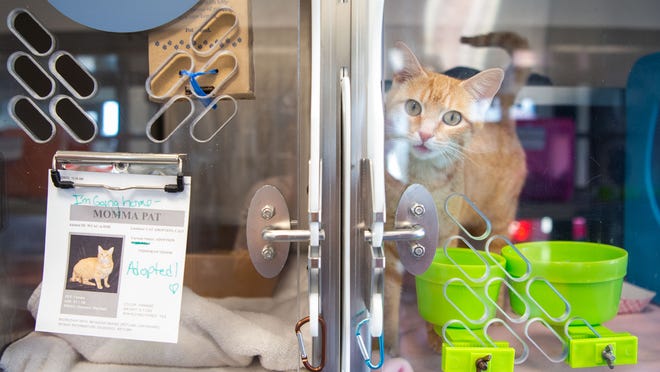 Williamson County Animal Heart now open, gives 20% ability boost Williamson County Animal Heart now open, gives 20% ability boost