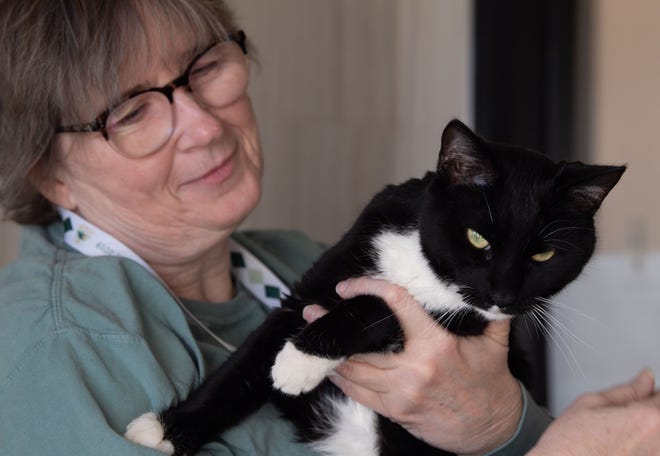 Debra Starnes holds her former foster cat, Sylvester, inside the big cat room at the Williamson County Animal Shelter in Franklin, Tenn., Wednesday, March 2, 2022.