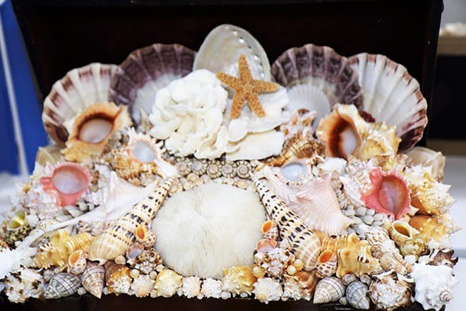 The Marco Island Shell Club is holding its 40th Annual Shell Show and Shell Art Sale Thursday, Friday, and Saturday