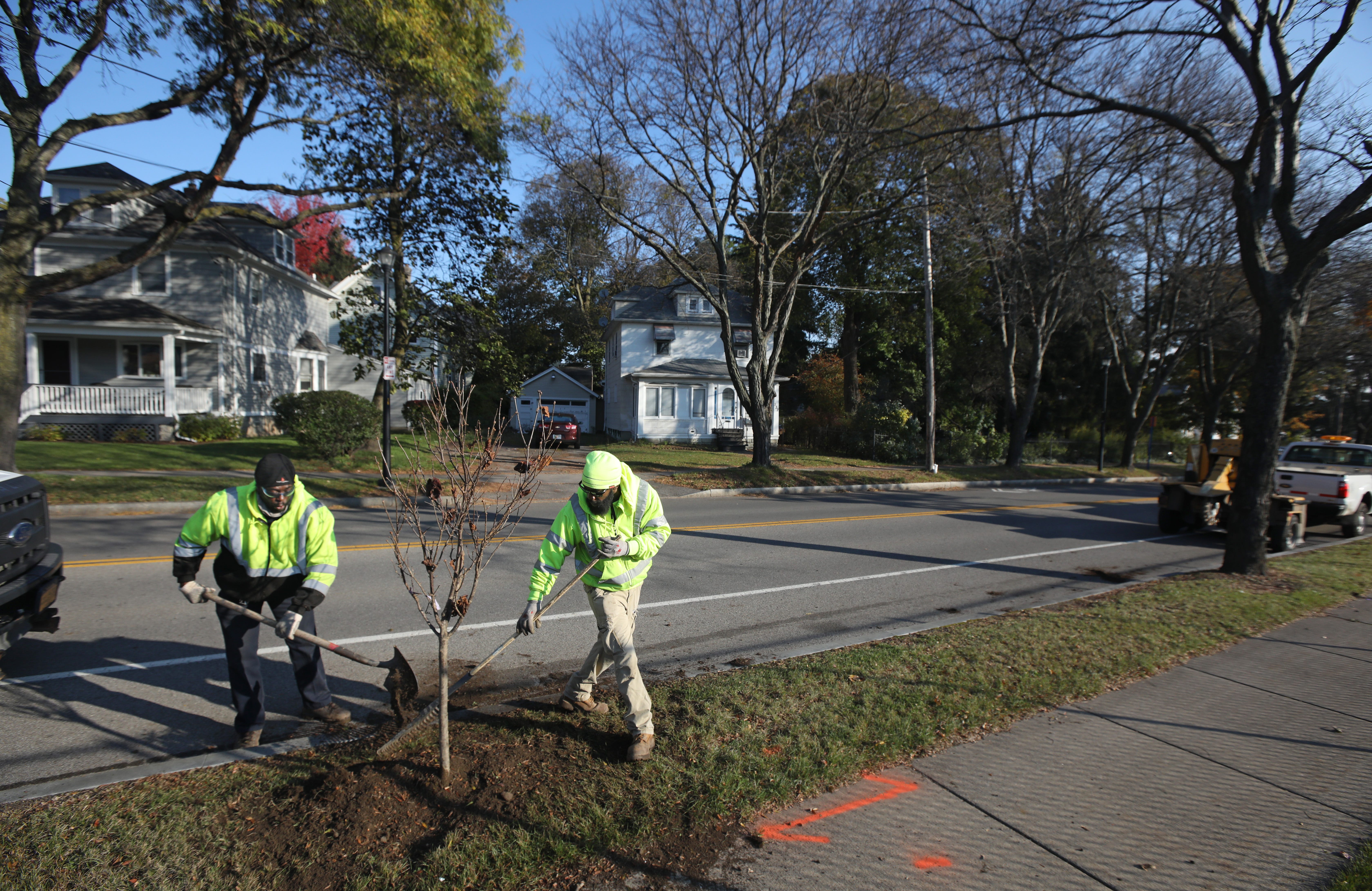 City of Rochester Department of Environmental Services, Parks Operations & Forestry crew Stefan Gassaway, left, and Darien Cotten plant a tree along the 400 block of Blossom Road.