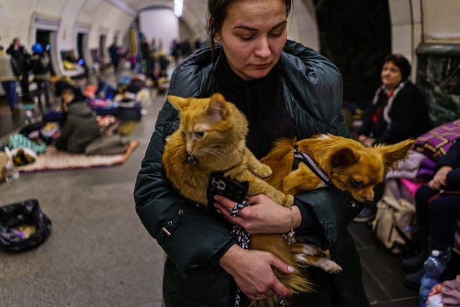 Julia Gereasumenko and her pets, Garfield the cat and Yoda the dog, take shelter underground in a subway station on the seventh day of the Russian invasion, in Kyiv, Ukraine, Wednesday, March 2, 2022. (Marcus Yam/Los Angeles Times/TNS)