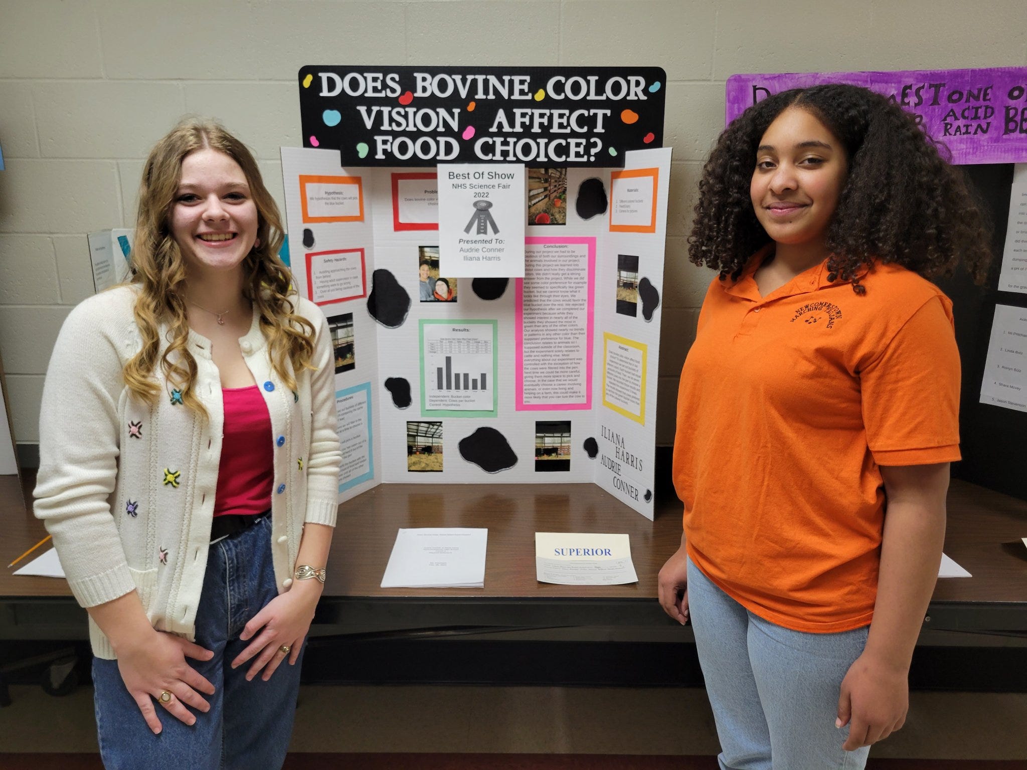 how to write results for a science fair project