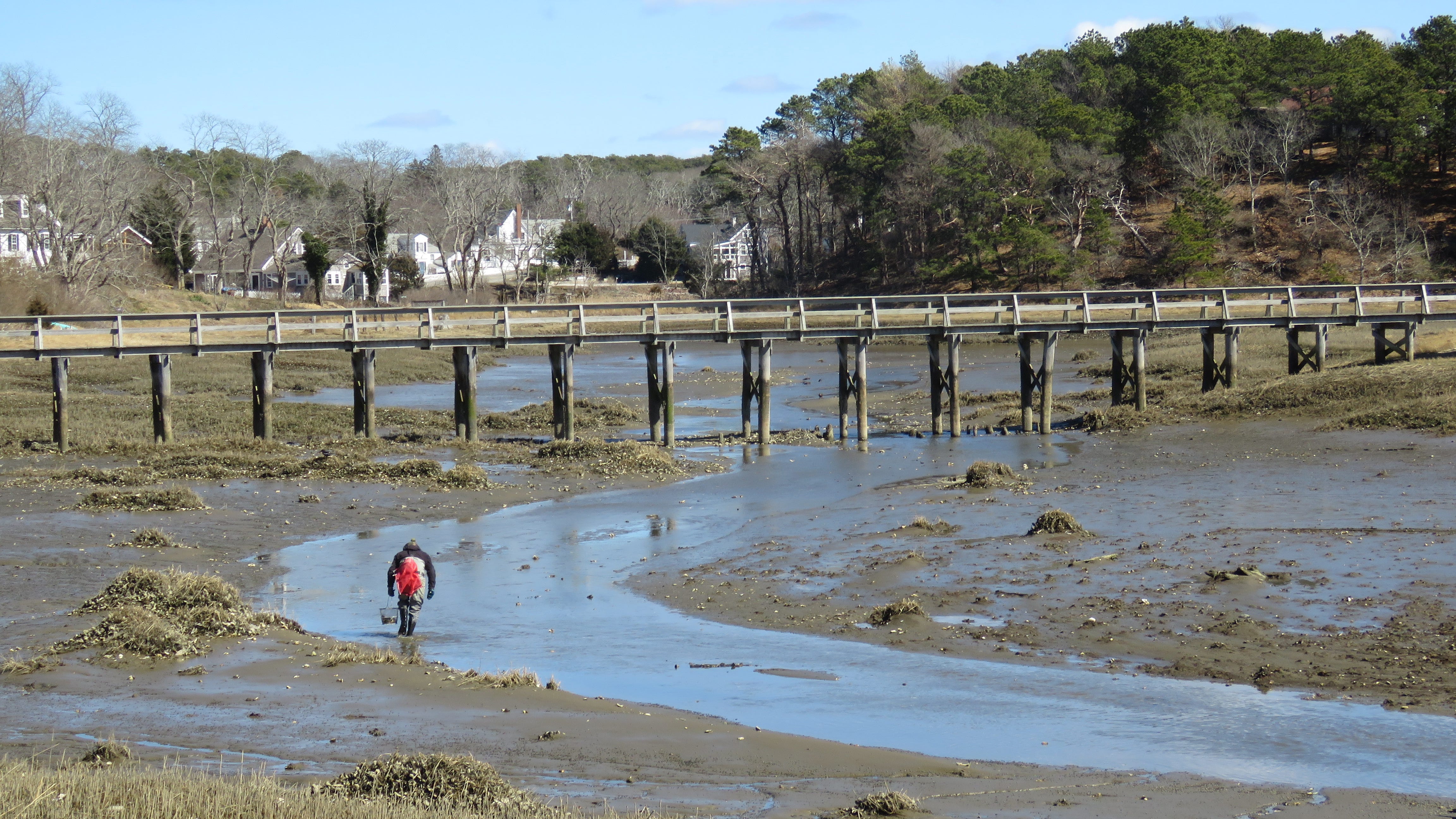 Annual reunion of Cape Cod surfers continues with the Oldtimers event
