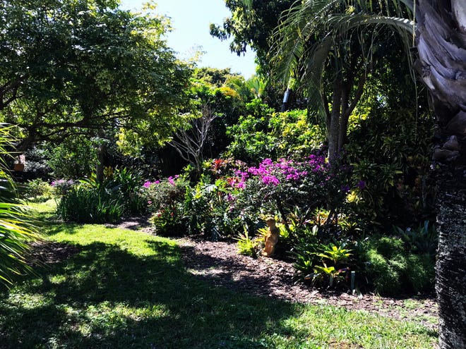또한 Boca Raton Garden Club's에서 특가 상품을 만나보세요.  "쓰레기에서 보물로" Rummage 및 Plant Sale, 방문자는 클럽의 아름다운 정원을 산책할 수 있습니다.