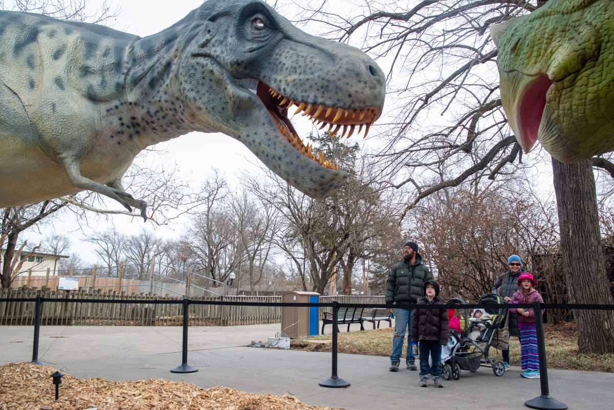 Topeka Zoo'S Dinosaur Exhibit Features Life-Size, Robotic Dinosaurs